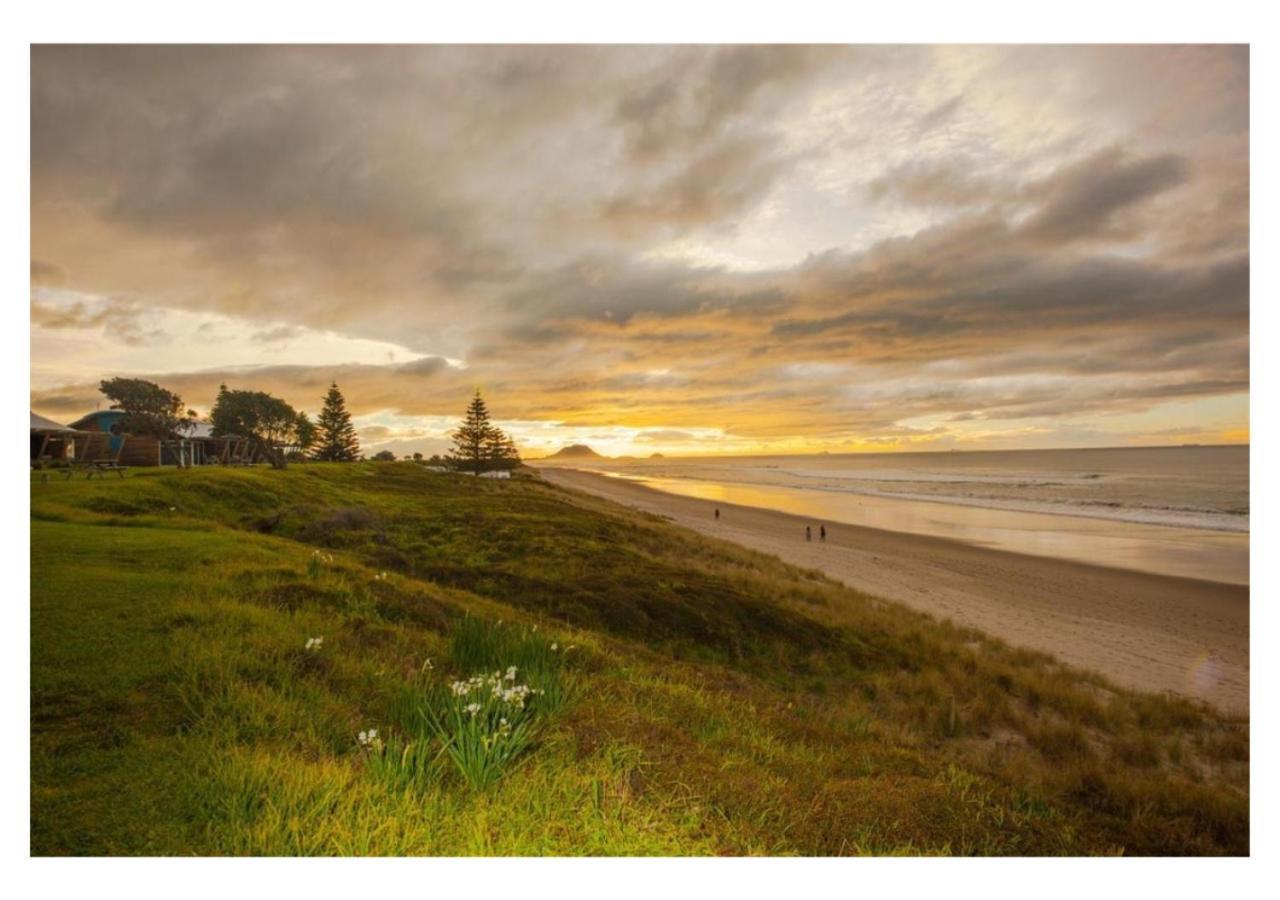 Cabbage Tree - Summer Or Winter Beachfront Haven Papamoa Exterior foto